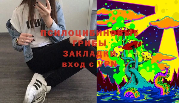 кокс Абаза