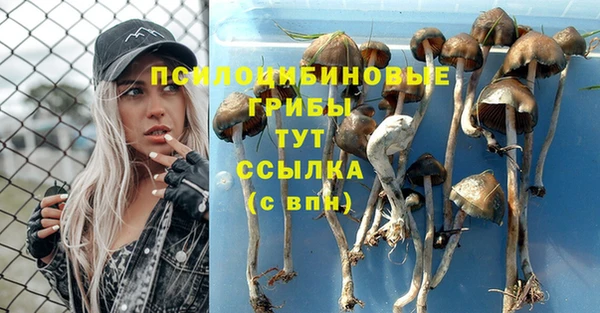 кокс Абаза
