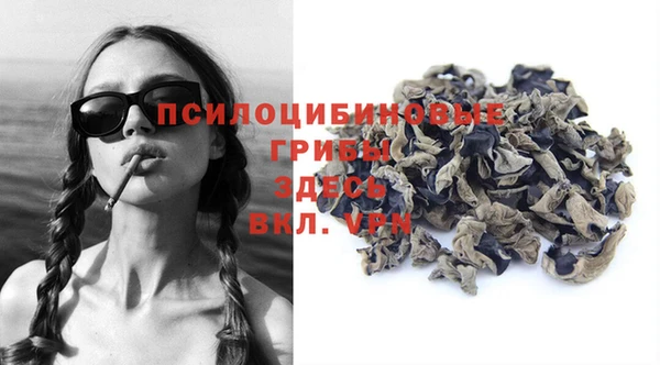 кокс Абаза